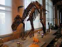 ಸ್ಪೇಸ್‌ನಲ್ಲಿ ಮಾನವರು ಲಾಂಚ್ ಮಾಡಿದ 11 ವಿಶಿಷ್ಟ ವಸ್ತುಗಳು