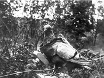 ಮೊದಲನೇ ಮಹಾಯುದ್ಧ ಸಂದರ್ಭದ ಕಪ್ಪು ಬಿಳುಪು ಫೋಟೋಗಳು