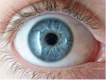 ಲೈಫ್ ಟೈಮ್‌ ಕನ್ನಡಕದ ಬದಲು ಕಣ್ಣಿಗೆ ಸುರಕ್ಷೆ 'ಬಯೋನಿಕ್‌ ಲೆನ್ಸ್‌'ನಿಂದ!