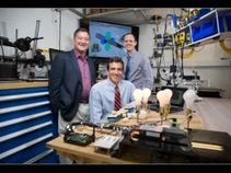 ವೀಡಿಯೊದಲ್ಲಿನ ಬೆಕ್ಕನ್ನು ಮುದ್ದಾಡಲು ಹೊಸ ತಂತ್ರಜ್ಞಾನ; ಐಡಿವಿ!