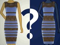 ಸಾಮಾನ್ಯ ಸುದ್ದಿಗಳೇ ಇಂಟರ್ನೆಟ್‌ನಲ್ಲಿ ವೈರಲ್!