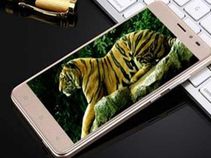 ಚ್ಯಾಂಪ್ ಒನ್ ಸಿ1 ಫೋನಿನ ಮೊದಲ ಫ್ಲಾಷ್ ಸೇಲ್ ತಡವಾಗಿದೆ.