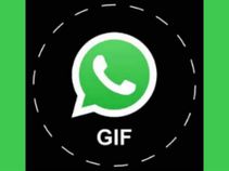 ವಾಟ್ಸಾಪ್ನಲ್ಲಿ ಜಿಫ್ ಇಮೇಜ್ ಕ್ರಿಯೇಟ್ ಮಾಡುವುದು ಹೇಗೆ? ವಾಟ್ಸಾಪ್ನಲ್ಲಿ ಜಿಫ್ ಇಮೇಜ್ ಕ್ರಿಯೇಟ್ ಮಾಡುವುದು ಹೇಗೆ?