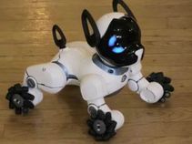 ರೋಬಾಟ್ ನಾಯಿ ಸಾಕಲು ರೆಡಿಯಾಗಿ!! ಏಕೆ? ಏನು ವಿಶೇಷತೆ?