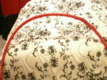 ವೈರಲ್ ಆಗಿರುವ ಈ ಪೋಟೋ ವಿಶೇಷತೆ ಏನು..? ನೀವು ಕಂಡುಹಿಡಿಯಲ್ಲ..!!!!