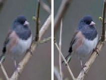 ಇನ್ಮುಂದೆ ಕಡಿಮೆ ರೆಸಲ್ಯೂಷನ್ ಚಿತ್ರವನ್ನು ಹೆಚ್‌ಡಿ ಚಿತ್ರವಾಗಿ ಪರಿವರ್ತಿಸಬಹುದು!!