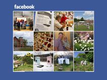 ನೀವು ಫೇಸ್‌ಬುಕ್‌ನಲ್ಲಿ ಲೈಕ್ ಮಾಡಿರುವ ಎಲ್ಲಾ ಫೋಟೋಗಳನ್ನು ನೋಡುವುದು ಹೇಗೆ?