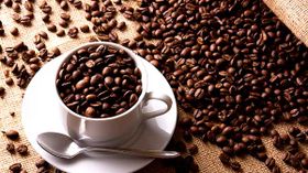 ಕಾಫಿ ಫಸಲು ಹೆಚ್ಚಿಸುವುದಕ್ಕೆ ಬಂದ ಎರಡು ಸ್ಮಾರ್ಟ್ ಫೋನ್ ಆಪ್ ಗಳು ಕಾಫಿ ಫಸಲು ಹೆಚ್ಚಿಸುವುದಕ್ಕೆ ಬಂದ ಎರಡು ಸ್ಮಾರ್ಟ್ ಫೋನ್ ಆಪ್ ಗಳು