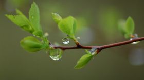 ಕ್ಲೋಸ್‌ ಅಪ್‌ ಶಾಟ್‌ನಲ್ಲಿ ಅತ್ಯುತ್ತಮ ಫೋಟೊ ಸೆರೆಹಿಡಿಯಲು ಈ ಟಿಪ್ಸ್‌ ಅನುಸರಿಸಿ!