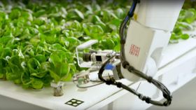 ನಿಮಗಿದು ಗೊತ್ತಾ? ಬಿತ್ತನೆ ಮಾಡಲು ರೈತನ ಬದಲಿಗೆ ರೊಬೋಟ್ ಬಳಸುವುದು ಹೇಗೆ?