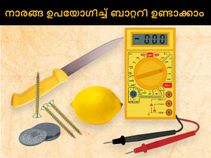 നാരങ്ങ ഉപയോഗിച്ച് എങ്ങനെ ബാറ്ററി ഉണ്ടാക്കാം?
