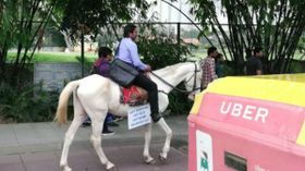 ബംഗളുരു നഗരത്തിലെ ട്രാഫിക്കിനെതിരെ കുതിരപ്പുറത്ത് യാത്ര ചെയ്ത് ഐടി ജോലി രാജിവെച്ചു യുവാവ്! ബംഗളുരു നഗരത്തിലെ ട്രാഫിക്കിനെതിരെ കുതിരപ്പുറത്ത് യാത്ര ചെയ്ത് ഐടി ജോലി രാജിവെച്ചു യുവാവ്!