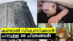 സോഷ്യൽ മീഡിയയിൽ ഇത്രയധികം വൈറലായ ചിത്രങ്ങൾ വേറെയുണ്ടാവില്ല!