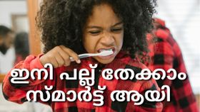 പല്ല് തേക്കാം സ്മാർട്ടായി, പക്ഷെ പേസ്റ്റ് വേണോ? ഇലക്ട്രിക് ടൂത്ത് ബ്രഷുകളുടെ വിശേഷങ്ങൾ ഇതാ