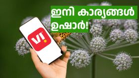 വിഐ സിം ഉണ്ടോ, ഒരു മാസത്തേക്ക് രാത്രികൾ അൺലിമിറ്റഡ് സന്തോഷത്താൽ നിറയ്ക്കാം! വിഐ സിം ഉണ്ടോ, ഒരു മാസത്തേക്ക് രാത്രികൾ അൺലിമിറ്റഡ് സന്തോഷത്താൽ നിറയ്ക്കാം!