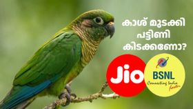 കാശ് മുടക്കി പട്ടിണി കിടക്കണോ അ‌തോ ഫ്രീ ബിരിയാണി കഴിക്കണോ? ഈ റീച്ചാർജിന് ഇതിലും നല്ല വിശദീകരണം വേറെയില്ല!
