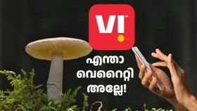 പിശുക്കി, എങ്കിലും വെ​റൈറ്റിയാണ്! VI വോയ്സ്- എസ്എംഎസ് ​ഒൺലി പ്രീപെയ്ഡ് പ്ലാൻ പുറത്തിറക്കി