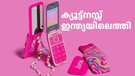 ബാറ്ററി വരെ പിങ്ക് നിറത്തിൽ! കൂട്ടത്തിലെ ക്യൂട്ട് ഇന്ത്യയിലെത്തിയിട്ടുണ്ട്‌