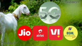 ആടിനെ പ്ലാവില കാണിച്ച് കൊണ്ടുപോകും പോലെ! ഇന്ത്യയിലെ ടെലിക്കോം കമ്പനികൾ 5G പ്ലാനുകൾ നിർത്തുമോ?