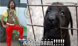 சிரிக்ககூடாது ஆனா இத பாக்கணும்!