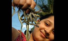 கொஞ்சம் பாத்து பத்திரமா பாருங்க இந்த படங்களை... கொஞ்சம் பாத்து பத்திரமா பாருங்க இந்த படங்களை...