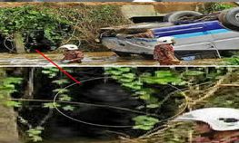 இன்றைய இணையதள ட்ரென்டிங் காமெடி போட்டோ பாம் கலெக்ஷனை பார்ப்போமா