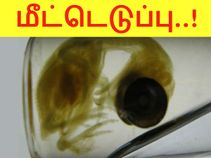 'இது' எங்கே போய் முடிய போகிறதோ..!!??