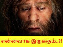 நியாண்டர்தால்களின் சிக்கலான நிலத்தடி கட்டமைப்புகள், என்னவாக இருக்கும்..?!