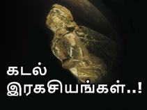 தீர்வில்லாத கடல் இரகசியங்கள்..! தீர்வில்லாத கடல் இரகசியங்கள்..!