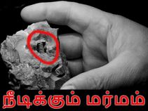 30 கோடி ஆண்டு பழமை வாய்ந்த திருகாணி கண்டுபிடிப்பு! 30 கோடி ஆண்டு பழமை வாய்ந்த திருகாணி கண்டுபிடிப்பு!