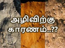 முதல் வெகுஜன இன அழிவிற்கு காரணம் என்னவென்று தெரியுமா..?