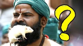 தமிழக மக்களின் வயிற்று எரிச்சலை கிளப்பும் நாகலாந்து அரசு; அப்படி என்ன செய்தது? தமிழக மக்களின் வயிற்று எரிச்சலை கிளப்பும் நாகலாந்து அரசு; அப்படி என்ன செய்தது?