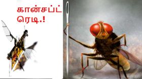 லேசரில் இயங்கும் பூச்சி போன்ற வடிவமைப்பை கொண்ட ' ரோபோ ப்ளை'.! லேசரில் இயங்கும் பூச்சி போன்ற வடிவமைப்பை கொண்ட ' ரோபோ ப்ளை'.!