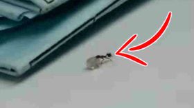 கடையில் வைர கற்கள் நூதன மாயம்- போலீசாருக்கே தண்ணி காட்டிய அப்பாடேக்கர் திருடன்.! கடையில் வைர கற்கள் நூதன மாயம்- போலீசாருக்கே தண்ணி காட்டிய அப்பாடேக்கர் திருடன்.!