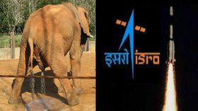 யானை சிறுநீரிலும் ராக்கெட் ஏவும் இஸ்ரோ- வாயை பிளந்த எலன்மஸ்க்.!