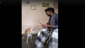இளைஞருடன் நாய்பேசி அசத்திய கவுண்டமணி செந்தில் டப்ஸ்மேட்ச்: வைரல் வீடியோக்கள்.!