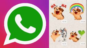 Whatsapp இல் அனிமேஷன் ஸ்டிக்கர்களை எப்படி அனுப்புவது? ஈஸி டிப்ஸ்!