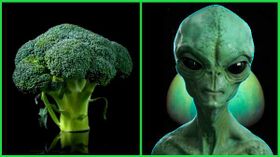 ஏலியன் உயிர்களுக்கும் பூமியின் ப்ரோக்கோலிக்கும் தொடர்பா? பிரபஞ்சத்தையே உலுக்கிய உண்மை.!