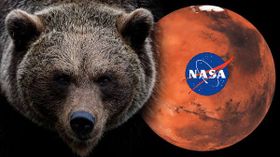செவ்வாய் கிரகத்தில் தெரிந்த கரடி உருவம்.. NASA வெளியிட்டுள்ள புகைப்படத்தால் பரபரப்பு!