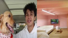 ரூ.16.5 லட்சம் மதிப்பில் நாய்க்கு வீடு கட்டி பரிசளித்த யூடியூபர்.! உள்ளே என்னென்ன இருக்கு தெரியுமா?