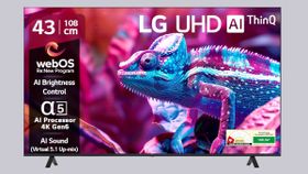 பிளிப்கார்ட்டில் அள்ளுங்க.. LG 4கே ஸ்மார்ட் டிவிக்கு நம்ப முடியாத ஆஃபர்.. எந்த மாடல்? பிளிப்கார்ட்டில் அள்ளுங்க.. LG 4கே ஸ்மார்ட் டிவிக்கு நம்ப முடியாத ஆஃபர்.. எந்த மாடல்?