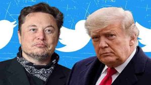 क्या Donald Trump ने किया था Elon Musk को Twitter खरीदने के लिए प्रोत्साहित? क्या Donald Trump ने किया था Elon Musk को Twitter खरीदने के लिए प्रोत्साहित?