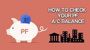 इन 5 आसान तरीकों से कर सकते है आप अपना PF Balance चेक इन 5 आसान तरीकों से कर सकते है आप अपना PF Balance चेक