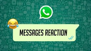 WhatsApp Tips: व्हाट्सएप मैसेज रिएक्शन फीचर कैसे करें यूज, जानें तरीका WhatsApp Tips: व्हाट्सएप मैसेज रिएक्शन फीचर कैसे करें यूज, जानें तरीका