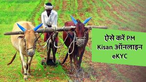 PM Kisan Yojana 12वीं किस्त: इस तारीख से पहले कैसे करें पीएम किसान योजना के लिए eKYC?