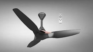 Smart Technology : LED बल्ब से भी कम बिजली पर चलेंगे ये Smart Fan, धड़ल्ले से हो रही बिक्री Smart Technology : LED बल्ब से भी कम बिजली पर चलेंगे ये Smart Fan, धड़ल्ले से हो रही बिक्री