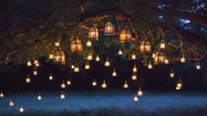 Diwali 2022 : इस दिवाली इन Best Lights और Lamps से करें अपना घर डेकोरेट, कीमत है 500 रूपये से भी कम Diwali 2022 : इस दिवाली इन Best Lights और Lamps से करें अपना घर डेकोरेट, कीमत है 500 रूपये से भी कम