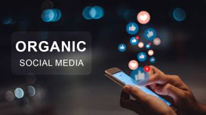 Tips for Growing an Organic Social Media Following Among Tech Enthusiasts Tips for Growing an Organic Social Media Following Among Tech Enthusiasts