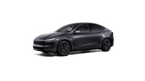 Tesla Model Y Launched in India at Approx. 60 Lakh: Tesla App Available for Download on iOS