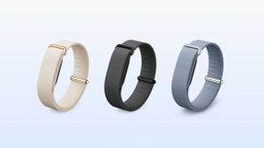 Google’s Whoop Rival Fitbit Air Is Here and It Costs Less Than Half as Much in India